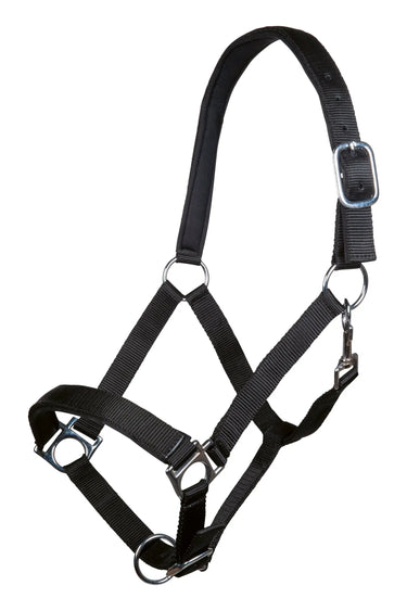 HKM Head Collar Stars with Soft Padding| Online For Equine