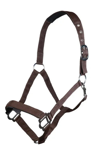 HKM Head Collar Sydney Style, with Soft Padding| Online For Equine