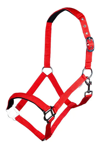 HKM Head Collar Sydney Style, with Soft Padding| Online For Equine