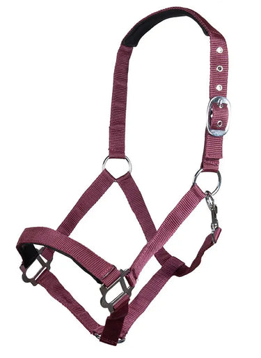 HKM Head Collar Sydney Style, with Soft Padding| Online For Equine