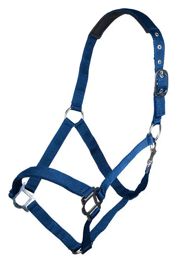 HKM Head Collar Sydney Style, with Soft Padding| Online For Equine