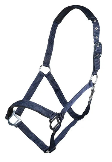 HKM Head Collar Sydney Style, with Soft Padding| Online For Equine