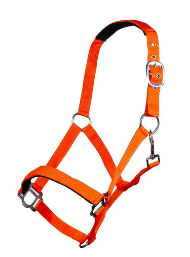 HKM Head Collar Sydney Style, with Soft Padding| Online For Equine