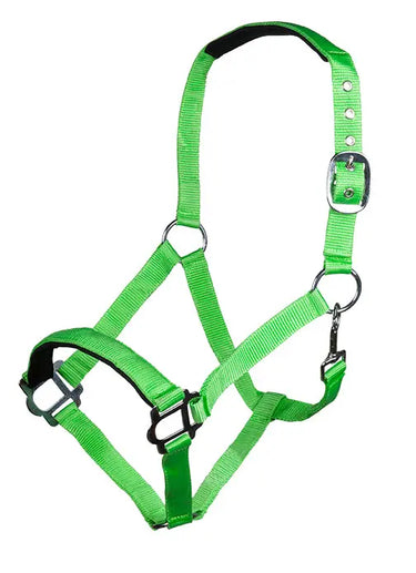 HKM Head Collar Sydney Style, with Soft Padding| Online For Equine