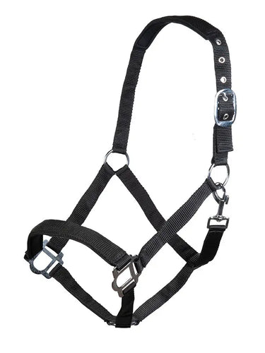 HKM Head Collar Sydney Style, with Soft Padding| Online For Equine