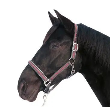 HKM Head Collar & Lead Rope (180cm), Snap Hook Stars| Online For Equine