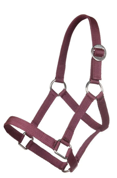 HKM Head Collar for Mini Shetty| Online For Equine