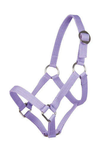 HKM Head Collar for Mini Shetty| Online For Equine
