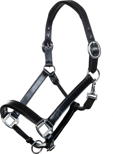 HKM Leather Head Collar Economic| Online For Equine
