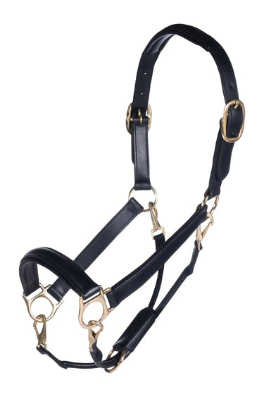 HKM Leather Head Collar Gold| Online For Equine