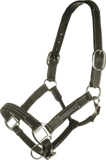 HKM Leather Head Collar Soft| Online For Equine