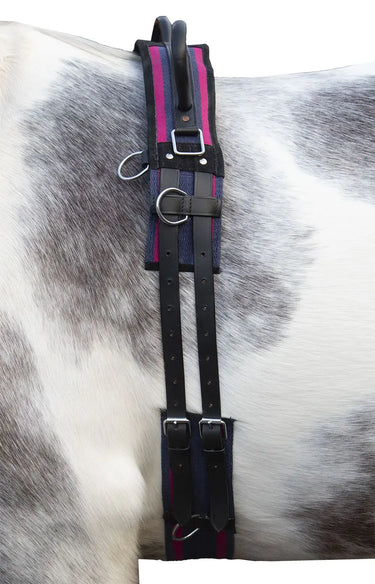 HKM Lunge Roller Canvas with Handle| Online For Equine