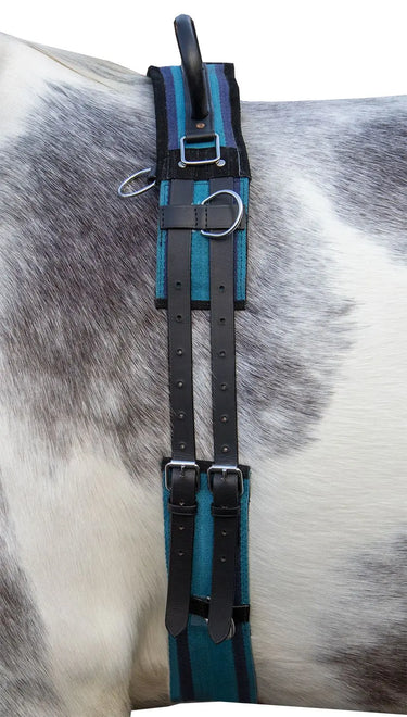 HKM Lunge Roller Canvas with Handle| Online For Equine