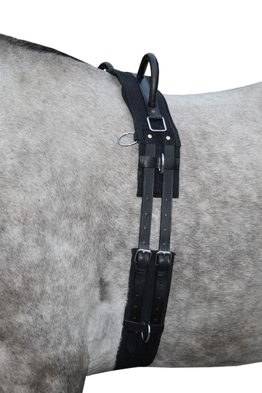 HKM Lunge Roller Canvas with Handle| Online For Equine
