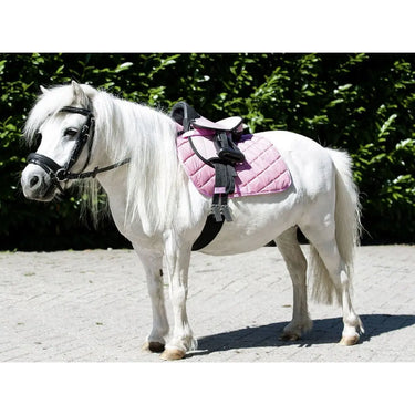 Buy HKM Shetland Pony Starter Kit| Online for Equine