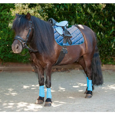 Buy HKM Shetland Pony Starter Kit| Online for Equine