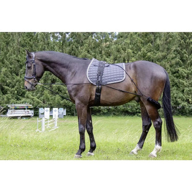 Buy HKM Training Aid-Cob / Full| Online for Equine
