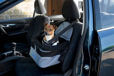 Buy Henry Wag Pet Car Booster Seat | Online for Equine