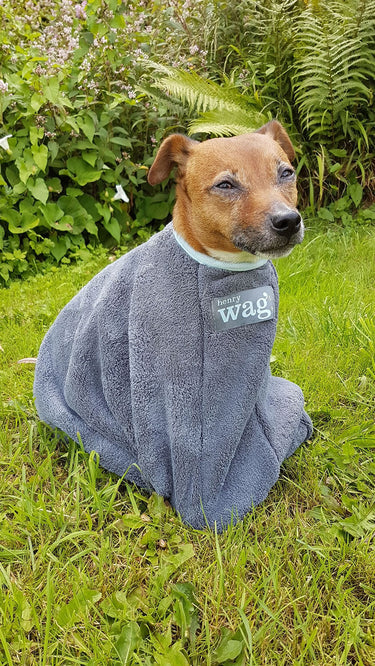 Buy Henry Wag Drying Bag | Online for Equine