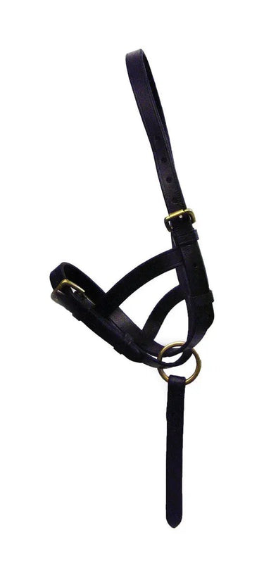 Buy HY Leather Foal Slip| Online for Equine