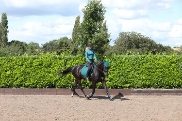 HY Sport Active Dressage Saddle Pad Alpine Green| Online For Equine