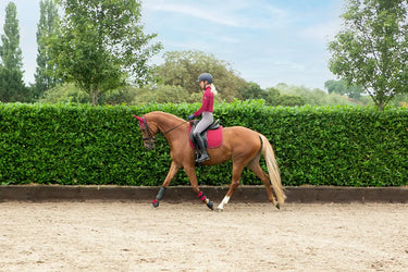 HY Sport Active Dressage Saddle Pad Vivid Merlot| Online For Equine