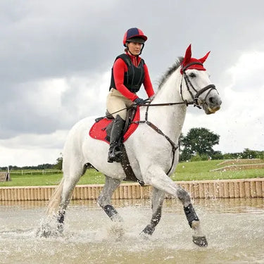 Buy HY Sport Active Fly Veil Rosette Red| Online for Equine