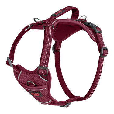 Halti Anatomy Harness Magenta| Online For Equine