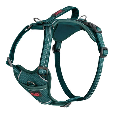 Halti Anatomy Harness Teal| Online For Equine