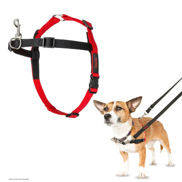 Halti Front Control Harness| Online For Equine