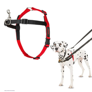 Halti Front Control Harness| Online For Equine