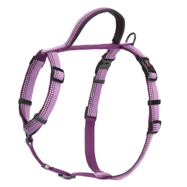Halti Walking Harness Purple| Online For Equine