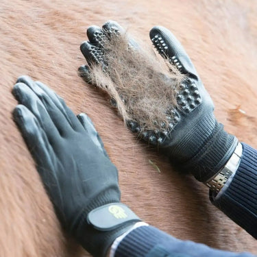 Buy Hands On Grooming Mitt| Online for Equine