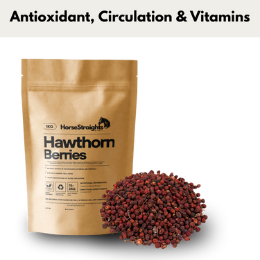 Hawthorn Whole Berries| Online For Equine