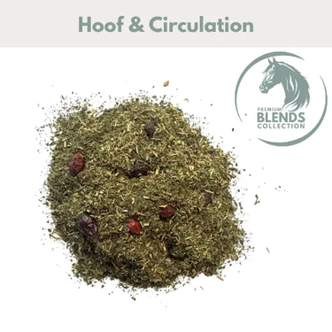 Healthy Hoof Support Blend| Online For Equine