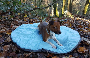 Henry Wag Alpine Travel Snuggle Bed| Online For Equine