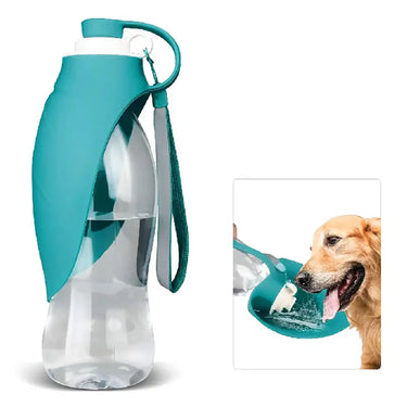 Buy Henry Wag Travel Water Bottle & Leaf Bowl | Online for Equine