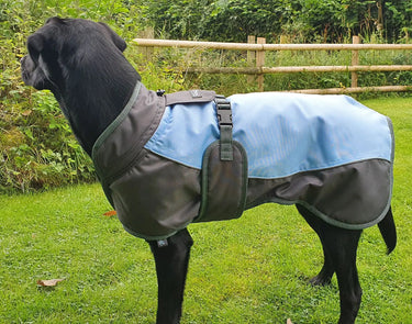 Buy Henry Wag Waterproof Dog Coat | Online for Equine
