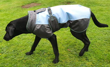 Buy Henry Wag Waterproof Dog Coat | Online for Equine