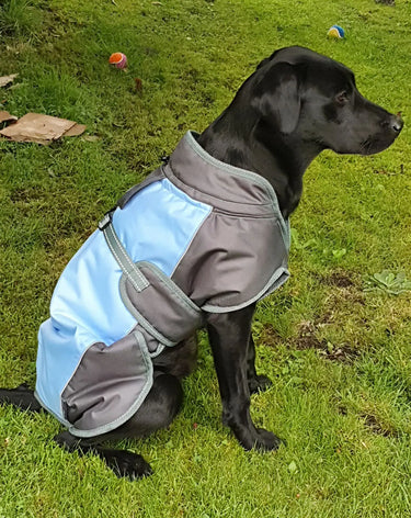 Buy Henry Wag Waterproof Dog Coat | Online for Equine