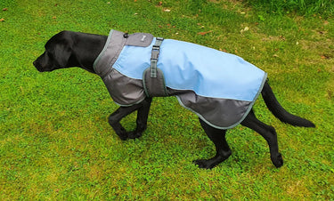 Buy Henry Wag Waterproof Dog Coat | Online for Equine