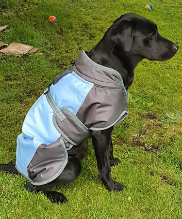 Buy Henry Wag Waterproof Dog Coat | Online for Equine