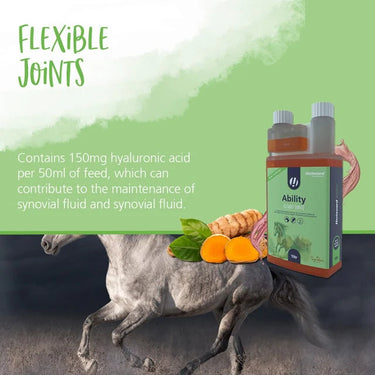 Hestevard Ability| Online For Equine