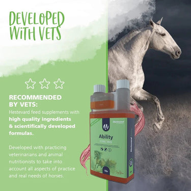 Hestevard Ability| Online For Equine