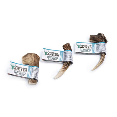 Buy Highland Antler | Online for Equine