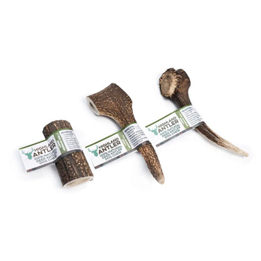 Buy Highland Antler | Online for Equine