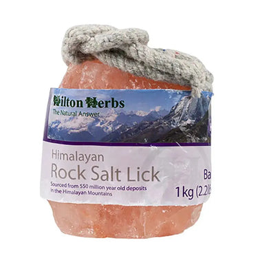 Hilton Herbs Baby Lick with Rope| Online For Equine