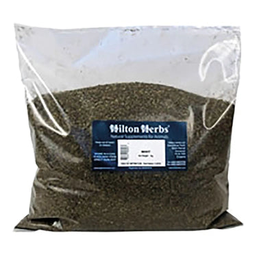 Buy Hilton Herbs Mint | Online for Equine