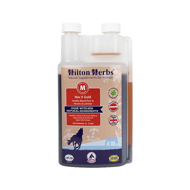 Buy Hilton Herbs Nav X Gold | Online for Equine