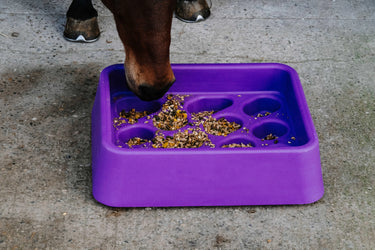 Hippotonic Anti-Gorging Feeder| Online For Equine